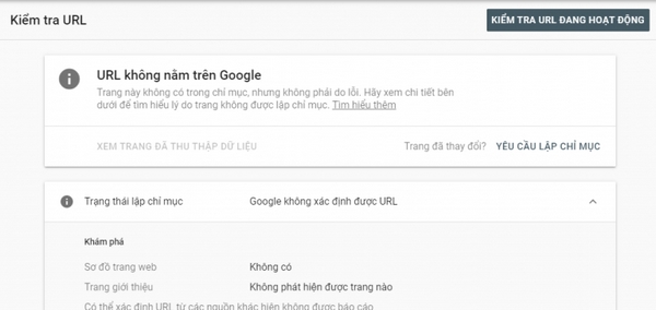 Google index Google index là gì? Top 3 cách index Google nhanh nhất