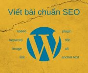 chuẩn SEO là gì 2 Content chuẩn SEO là gì?
