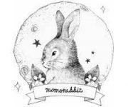dự án content Momo Rabbit Momo Rabbit Việt Nam