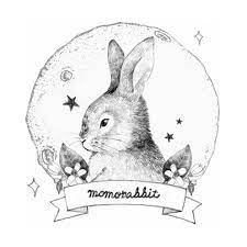 dự án content Momo Rabbit Momo Rabbit Việt Nam